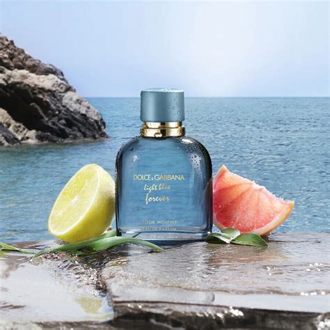 dolce gabbana light blue forever fragrantica